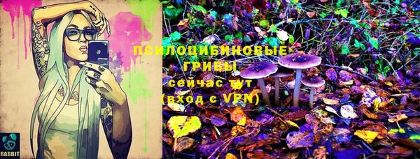 соль ск Абаза