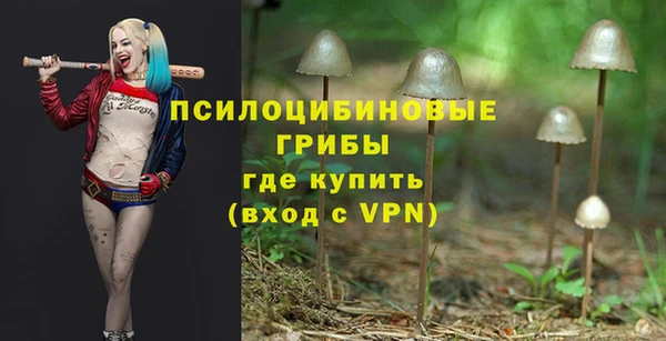 соль ск Абаза