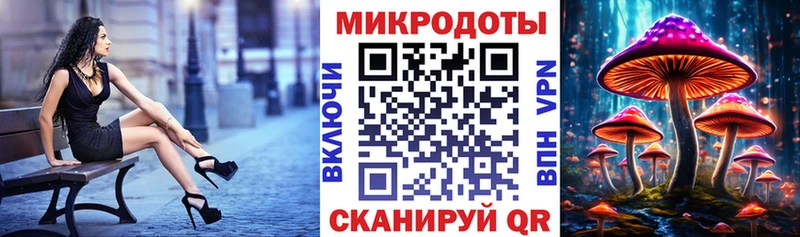 даркнет клад  продажа наркотиков  Чита  Псилоцибиновые грибы мухоморы  ссылка на мегу онион 